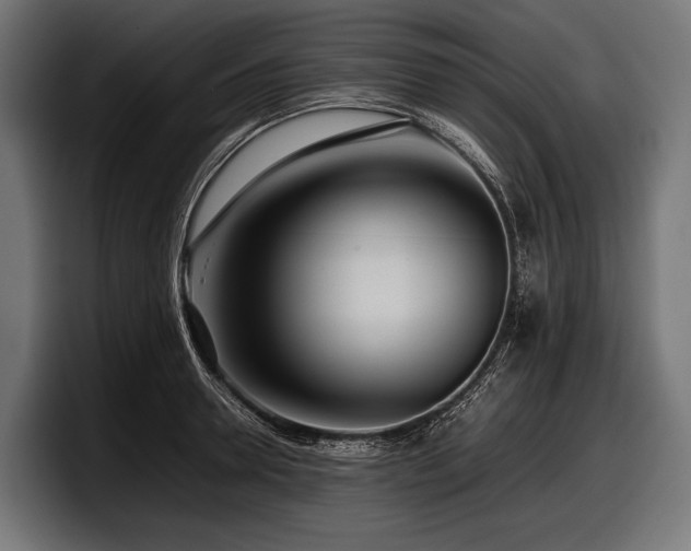 X0000097960946200803241211