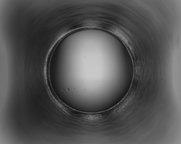 X0000097960947200803241211