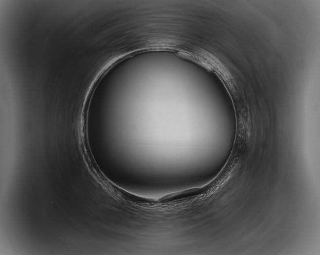 X0000097960948200803241211