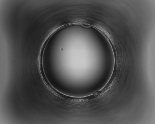 X0000097960949200803241211