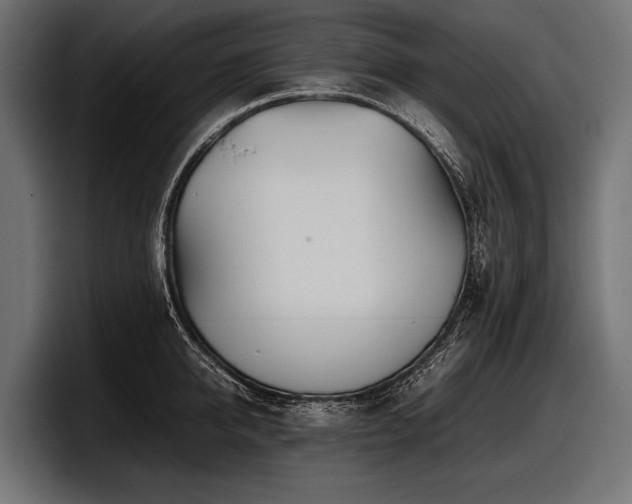 X0000097960950200803241211
