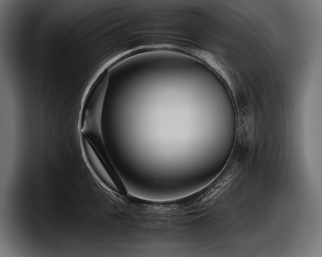 X0000097960951200803241211