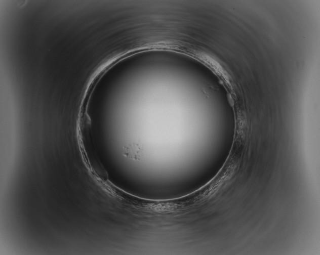 X0000097960952200803241211