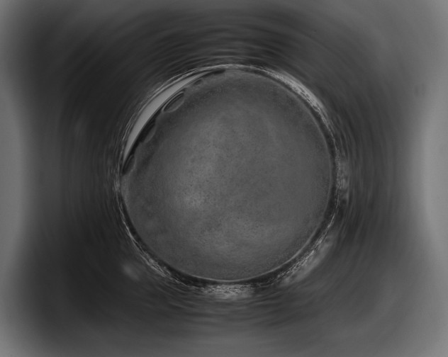 X0000097960953200803241211