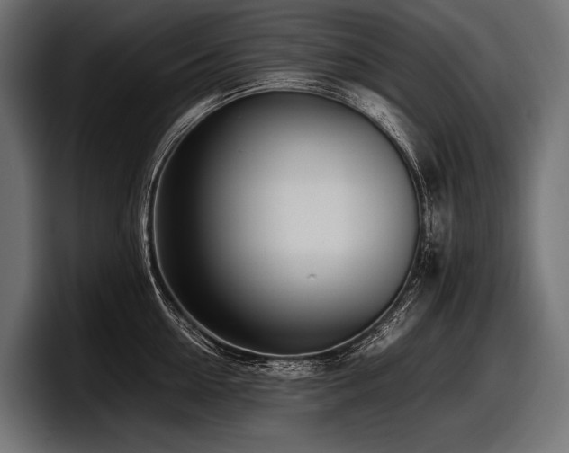 X0000097960954200803241211