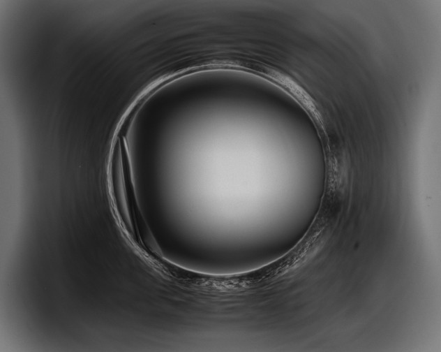 X0000097960955200803241211