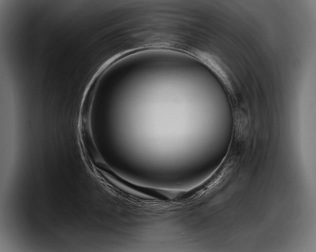 X0000097960956200803241211
