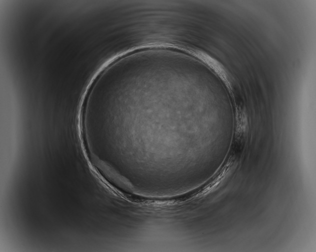 X0000097960958200803241211