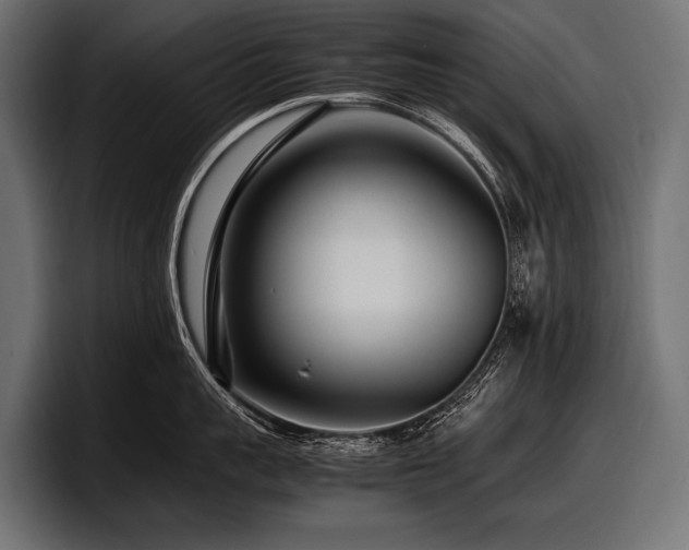X0000097960959200803241211