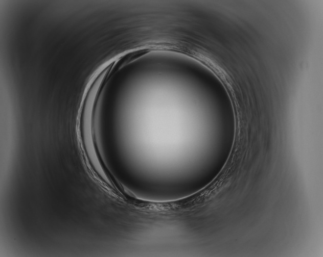 X0000097960960200803241211