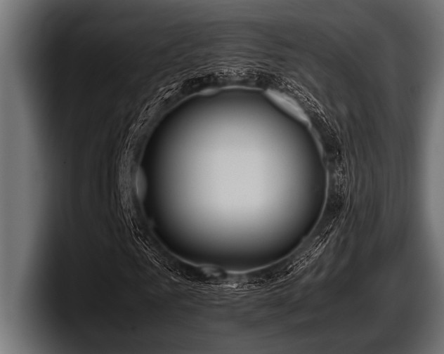 X0000097960961200803241211