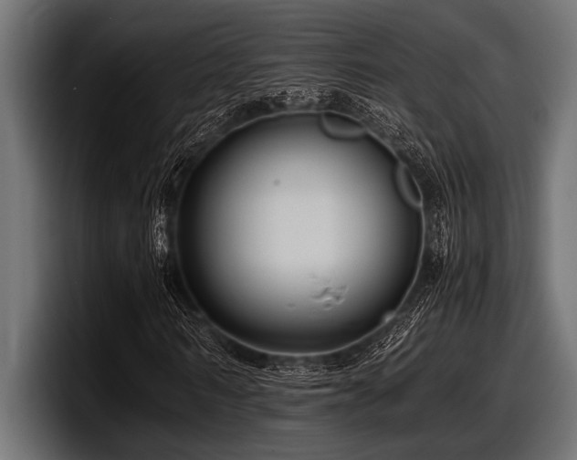 X0000097960962200803241211