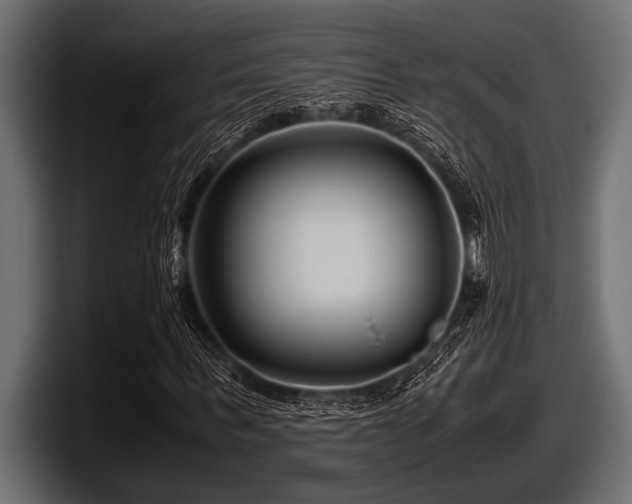 X0000097960963200803241211