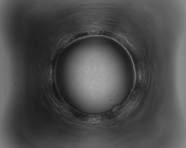 X0000097960964200803241211