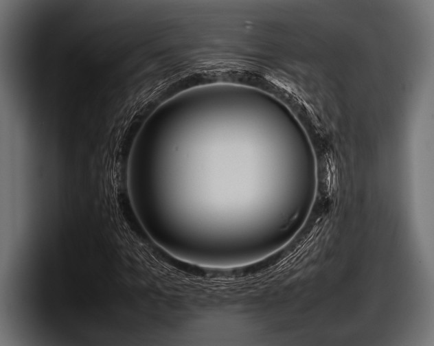 X0000097960965200803241210