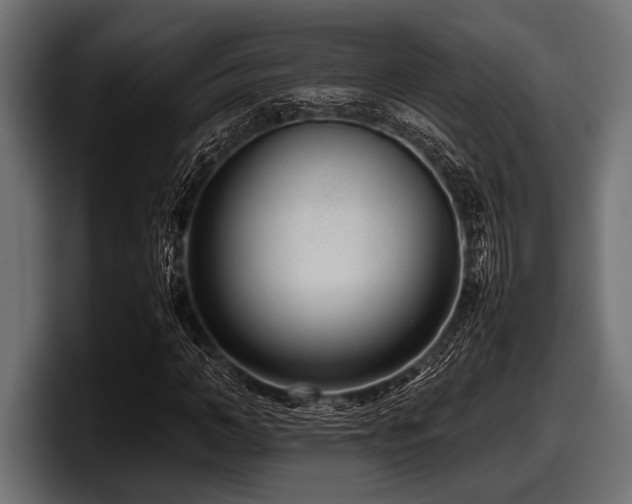 X0000097960966200803241210