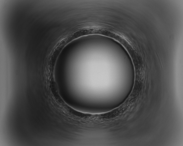 X0000097960967200803241210
