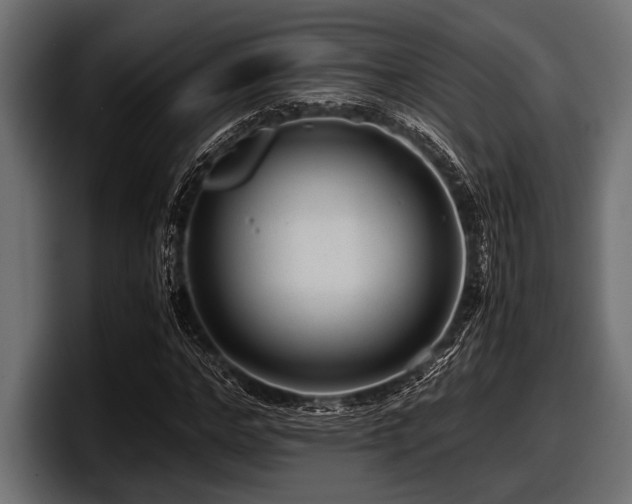 X0000097960968200803241210