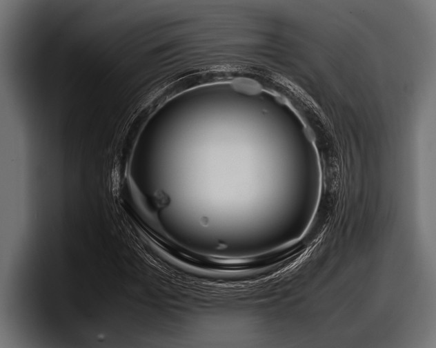 X0000097960969200803241210