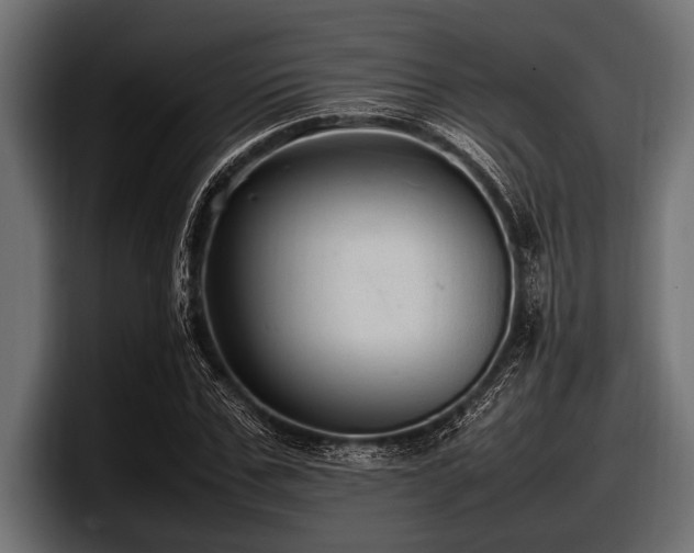 X0000097960971200803241210