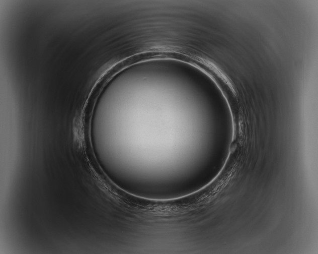 X0000097960972200803241210