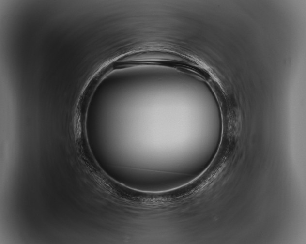 X0000097960973200803241210