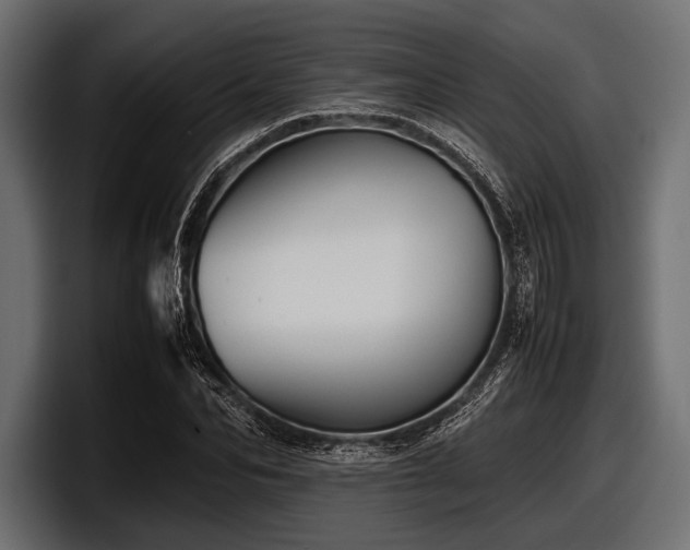 X0000097960974200803241210