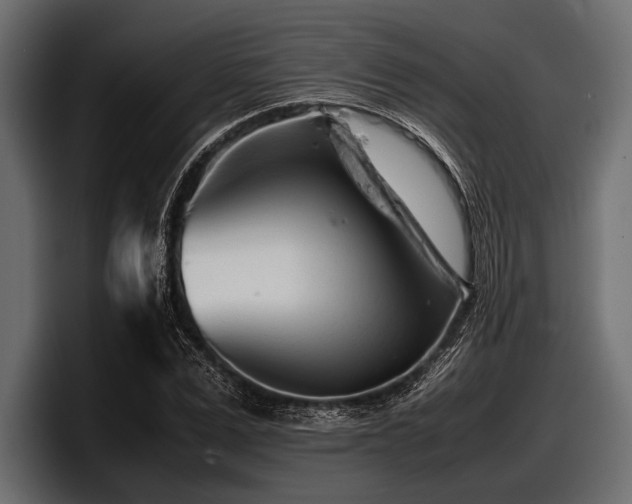 X0000097960975200803241210