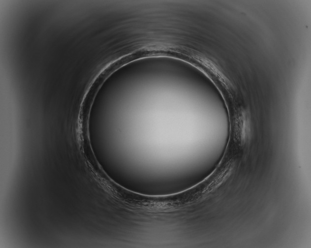 X0000097960976200803241210
