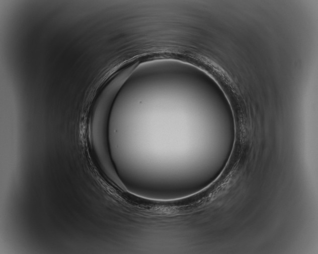 X0000097960977200803241210