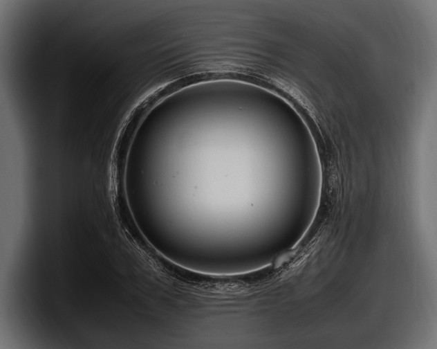 X0000097960979200803241210