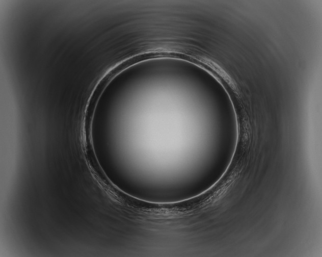 X0000097960980200803241210