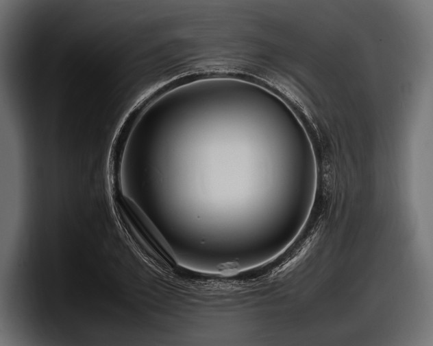 X0000097960981200803241210