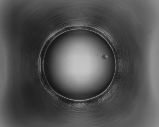 X0000097960982200803241210