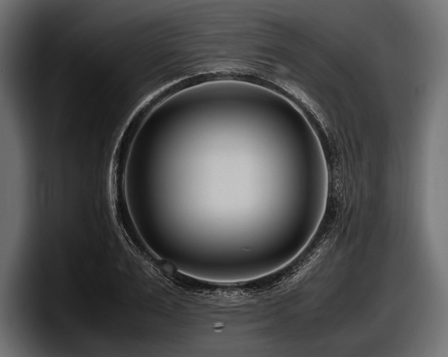 X0000097960983200803241210