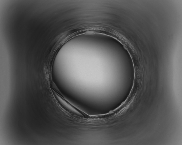 X0000097960985200803241210