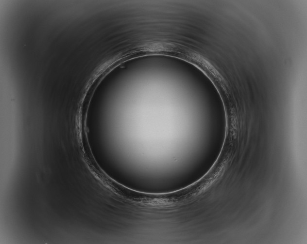 X0000097960986200803241210