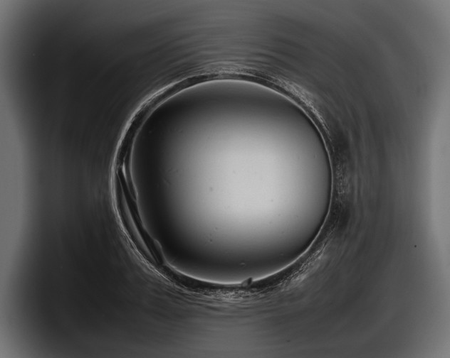X0000097960987200803241210