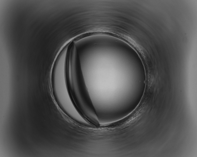 X0000097960988200803241210