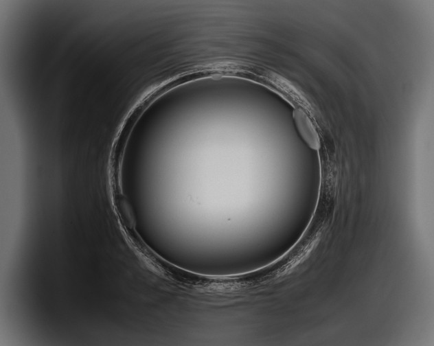 X0000097960989200803241210