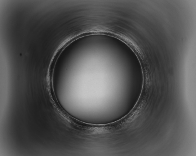 X0000097960990200803241210