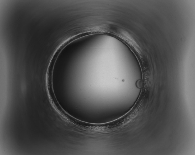 X0000097960991200803241210