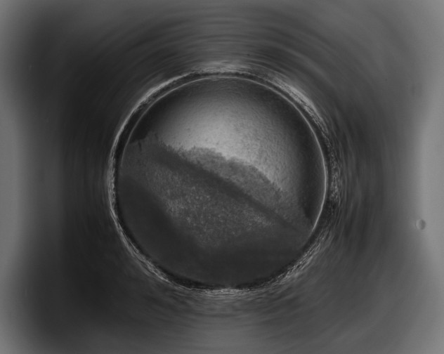 X0000097960992200803241210