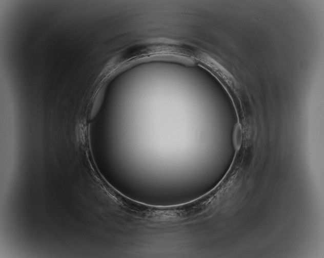 X0000097960993200803241210