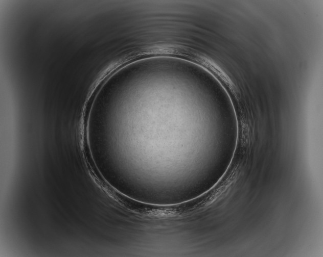 X0000097960994200803241210