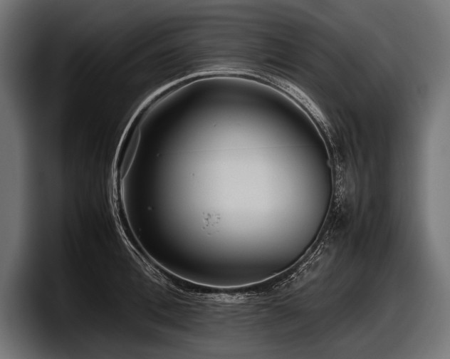 X0000097960996200803241210
