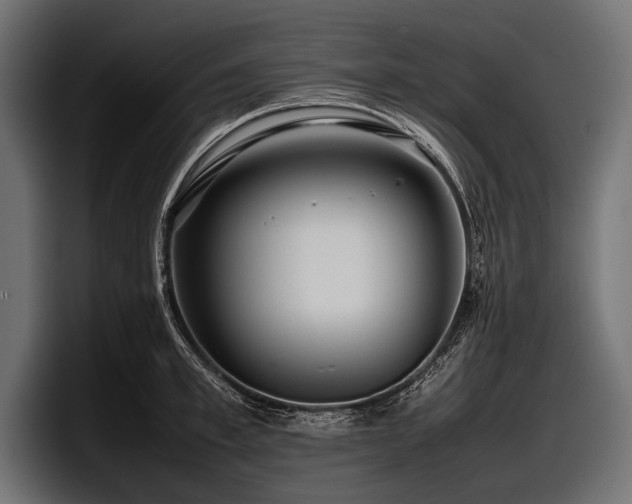 X0000097960997200803241210