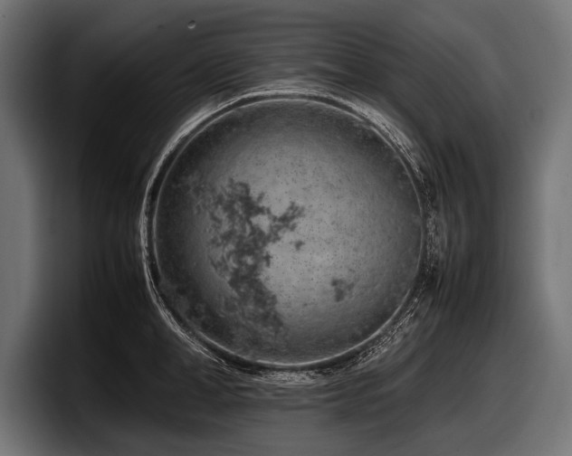X0000097960998200803241210