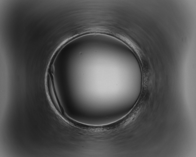 X0000097960999200803241210