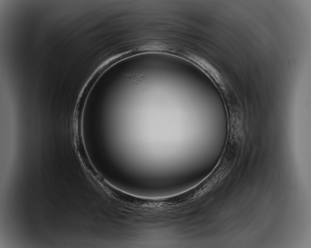 X0000097961000200803241210